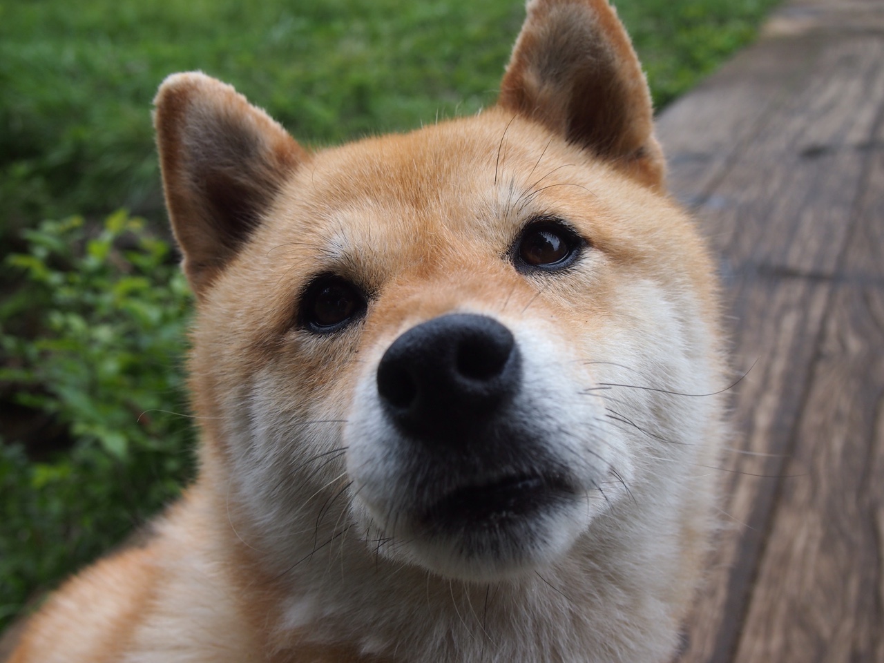 未来联盟：虚拟现实+增强现实打造全新比赛“沉浸体验”，未来联盟第一人