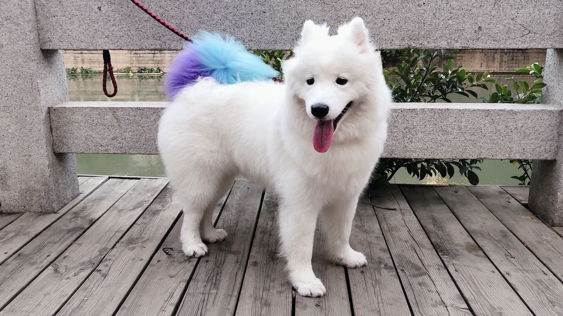 突发射击赛枪械问题紧急处理，射击事故