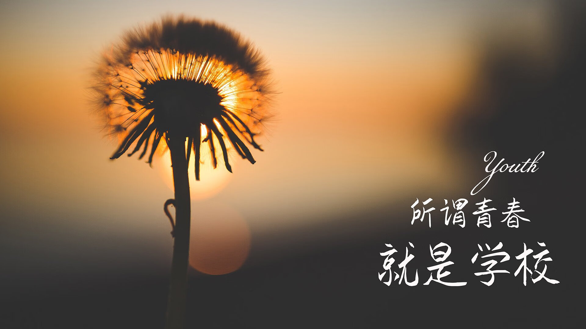 接力赛后数据：中国交接最快 美队游速更稳，美国接力队员