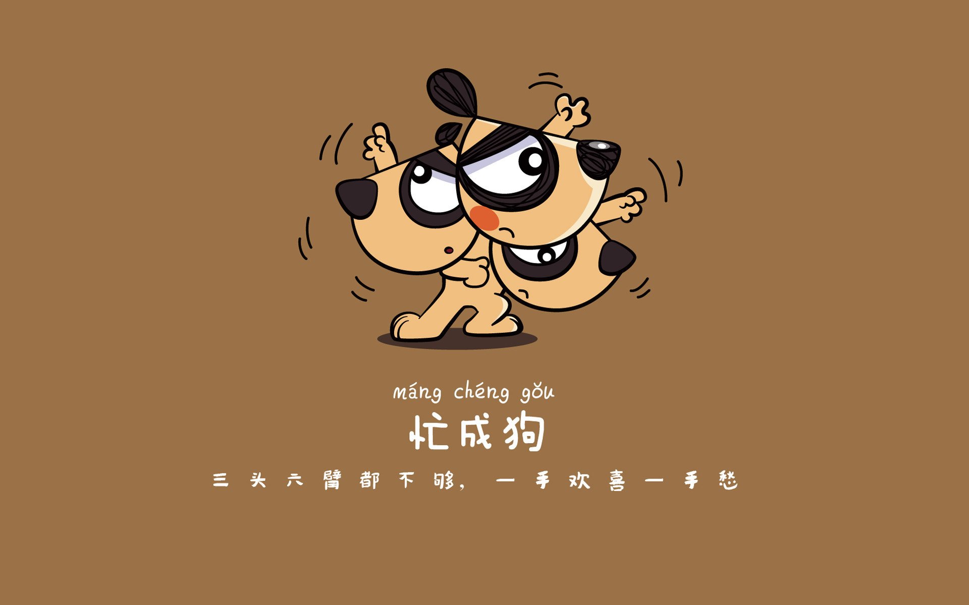 决赛拼速 切拉苏奥洛咬紧每一毫秒，切洛拉高vs苏阿美利加