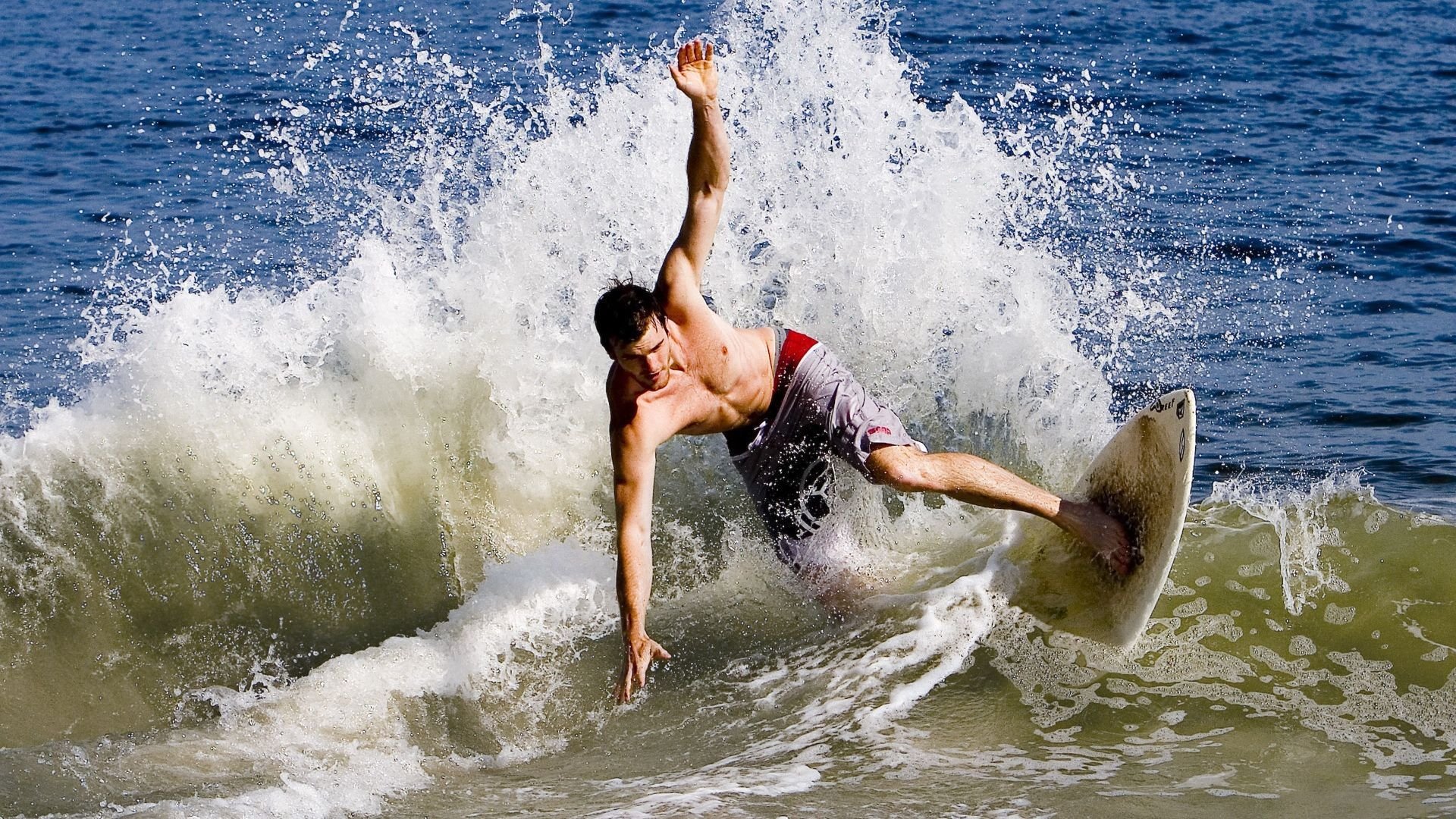 海底潜水摄影争霸，展现深海美丽风光，海底潜水照片